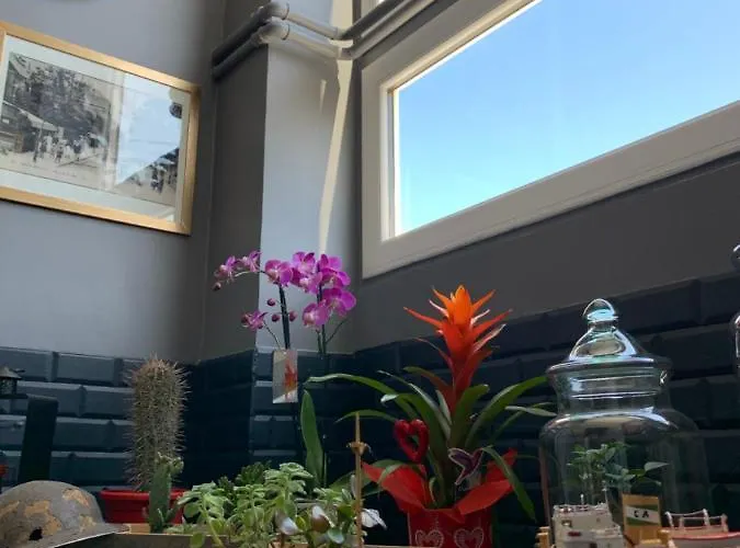 Hotel Le Cosy Riva Bella 2*