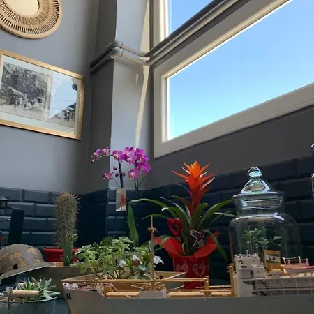 酒店 Le Cosy Riva Bella 2*